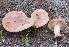  ( - GAJ.15251)  @11 [ ] c (2018) Tero Taipale University of Oulu