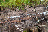  ( - GAVA.422)  @11 [ ] c (2021) Teppo Helo University of Oulu