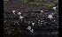  ( - GAVA.546)  @11 [ ] by-nc (2017) Matti Kulju University of Oulu