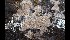  ( - GAVA.609)  @11 [ ] by-nc (2019) Teppo Helo Unspecified