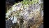  ( - GAVA.631)  @11 [ ] by-nc (2022) Teppo Helo Unspecified