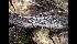  ( - GAVA.641)  @11 [ ] by-nc (2023) Teppo Helo Unspecified
