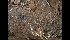  ( - GAVA.643)  @11 [ ] by-nc (2022) Teppo Helo Unspecified