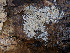  ( - GAVA.651)  @11 [ ] by-nc (2024) Teppo Helo Unspecified