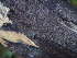  ( - GAVA.657)  @11 [ ] by-nc (2024) Teppo Helo Unspecified