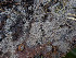  ( - GAVA.658)  @11 [ ] by-nc (2024) Teppo Helo Unspecified