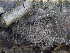  ( - GAVA.660)  @11 [ ] by-nc (2024) Teppo Helo Unspecified
