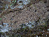  ( - GAVA.667)  @11 [ ] by-nc (2024) Teppo Helo Unspecified