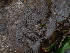  ( - GAVA.670)  @11 [ ] by-nc (2024) Teppo Helo Unspecified