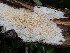  ( - GAVA.679)  @11 [ ] by-nc (2024) Teppo Helo Unspecified