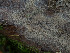  ( - GAVA.686)  @11 [ ] by-nc (2024) Teppo Helo Unspecified