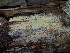  ( - GAVA.688)  @11 [ ] by-nc (2024) Teppo Helo Unspecified
