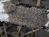  ( - GAVA.694)  @11 [ ] by-nc (2024) Teppo Helo Unspecified