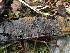  ( - GAVA.696)  @11 [ ] by-nc (2024) Teppo Helo Unspecified