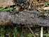  ( - GAVA.697)  @11 [ ] by-nc (2024) Teppo Helo Unspecified