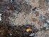  ( - GAVA.702)  @11 [ ] by-nc (2024) Teppo Helo Unspecified