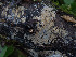  ( - GAVA.710)  @11 [ ] by-nc (2024) Teppo Helo Unspecified