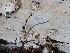  ( - GAVA.712)  @11 [ ] by-nc (2024) Teppo Helo Unspecified