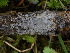  ( - GAVA.715)  @11 [ ] by-nc (2024) Teppo Helo Unspecified