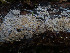  ( - GAVA.727)  @11 [ ] by-nc (2024) Teppo Helo Unspecified