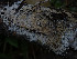  ( - GAVA.747)  @11 [ ] by-nc (2025) Teppo Helo Unspecified