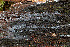  ( - GAVA.761)  @11 [ ] by-nc (2020) Teppo Helo Unspecified