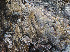  ( - GAVA.765)  @11 [ ] by-nc (2025) Teppo Helo Unspecified