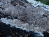  ( - GAVA.770)  @11 [ ] by-nc (2025) Teppo Helo Unspecified