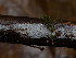  ( - GAVA.771)  @11 [ ] by-nc (2021) Teppo Helo Unspecified