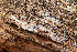  ( - GAVA.804)  @11 [ ] by-nc (2020) Teppo Helo Unspecified