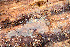  ( - GAVA.805)  @11 [ ] by-nc (2020) Teppo Helo Unspecified