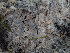  ( - GAVA.814)  @11 [ ] by-nc (2021) Teppo Helo Unspecified