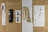  ( - H6014689)  @11 [ ] by-nc (2021) Marko Mutanen University of Oulu