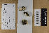  (Skeletocutis amorpha - H6014708)  @11 [ ] by-nc (2021) Marko Mutanen University of Oulu