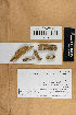  (Fibroporia - H6014934)  @11 [ ] by-nc (2021) Marko Mutanen University of Oulu