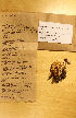  ( - H6055536)  @11 [ ] by-nc (2021) Marko Mutanen University of Oulu