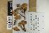  ( - H6060815)  @11 [ ] by-nc (2021) Marko Mutanen University of Oulu