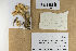  ( - H6078919)  @11 [ ] by-nc (2021) Marko Mutanen University of Oulu