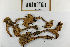  ( - H6079503)  @11 [ ] by-nc (2021) Marko Mutanen University of Oulu