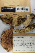  ( - H6081957)  @11 [ ] by-nc (2021) Marko Mutanen University of Oulu