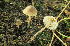  ( - TFU.148508)  @11 [ ] by-nc (1998) Jukka Vauras Unspecified
