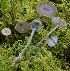  ( - TFU.204417)  @11 [ ] by-nc (2016) Jukka Vauras Unspecified