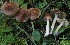  ( - TFU.209863)  @11 [ ] by-nc (2021) Jukka Vauras Unspecified
