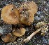  ( - TFU.217013)  @11 [ ] by-nc (2024) Jukka Vauras Unspecified