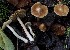  ( - TFU.217014)  @11 [ ] by-nc (2024) Jukka Vauras Unspecified