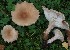  ( - TFU.217017)  @11 [ ] by-nc (2024) Jukka Vauras Unspecified