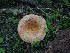  ( - TFU.209115)  @11 [ ] by-nc (2020) Jorma Pennanen Unspecified