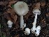  ( - TFU.209898)  @11 [ ] by-nc (2021) Jukka Vauras Unspecified