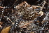  ( - HAY-F-000270)  @11 [ ] cc-by-nc (2023) Damon Tighe FunDiS