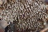  ( - HAY-F-000270)  @11 [ ] cc-by-nc (2023) Damon Tighe FunDiS